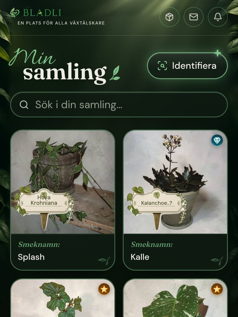 Skärmbild: Min samling