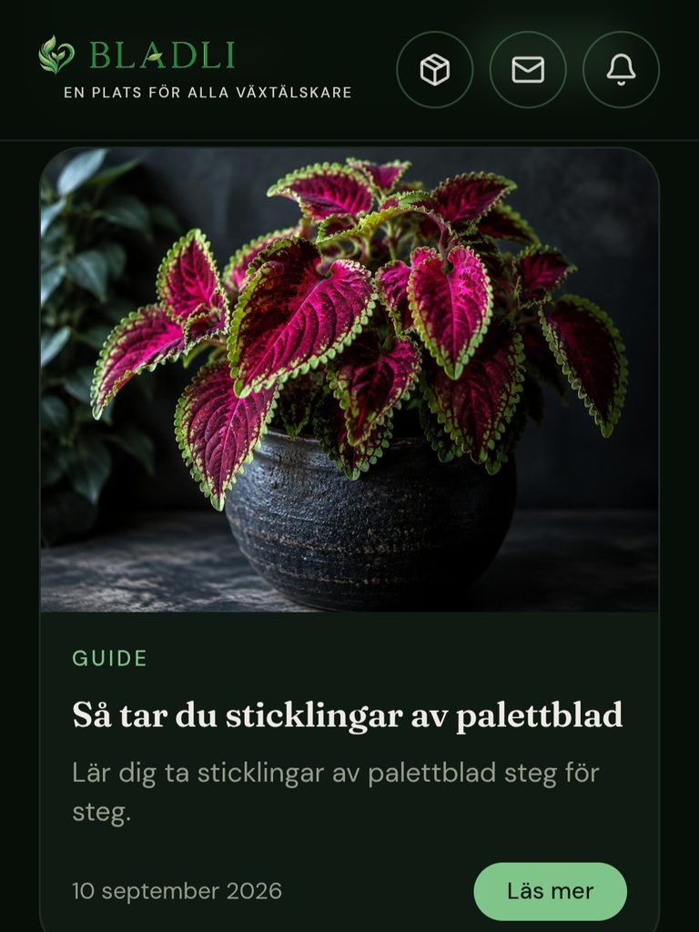 Skärmbild: Växtliv